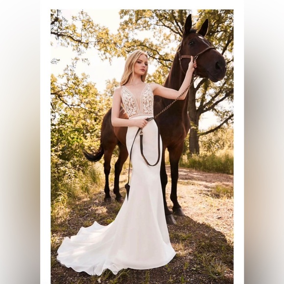 MIKAELLA Wedding Dress - Picture 1 of 9